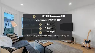 607 E 8th Avenue 203 Vancouver BC V5T 1T2