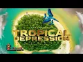 Tropical Depression Riddim - Various Artists (Damage Musiq) Dancehall 2021