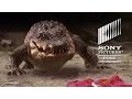 Video di Lake Placid vs. Anaconda - Official Trailer
