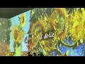 Van Gogh Experience Part II
