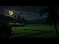 Download Lagu Cricket and Insects Sounds | Tranquil Night Ambience for Relaxation, Meditation \u0026 Deep Sleep 😴