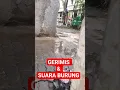 Download Lagu Gerimis Dan suara burung#GerimisDanBurung #SuaraAlam #HujanGerimis #BurungBerkicau #DamaiAlam #Alam