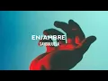 Enjambre-sanguijuela
