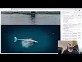 Intersection Observers to know when element is appearing on viewport other element