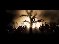 300 2006 Tree of the Dead
