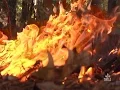Louisiana Burn Ban