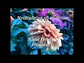 Download Lagu Neutralizing all undivine energies Silent Healing Frequency