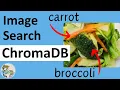 Getting Started with ChromaDB Image Search Multimodal Embeddings
