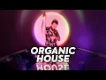 Tim Green M O S Stan Tone ORGANIC HOUSE MIX Vol 38