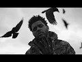 Download Lagu The Weeknd - The Birds - Part 2 (Music Video)