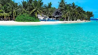 جمال البحر مع صوت العصافير الذهاب الى عالم اخر 