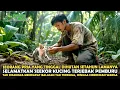 Download Lagu VIRAL !! PRIA INI SELAMATKAN SEEKOR KUCING HUTAN, TAPI TAK DISANGKA TINDAKANNYA MENGUBAH NASIB DESA