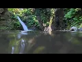 CHEK News at 5 and 6 for Aug 18 2026 Swimmer dies after incident at Goldstream Falls