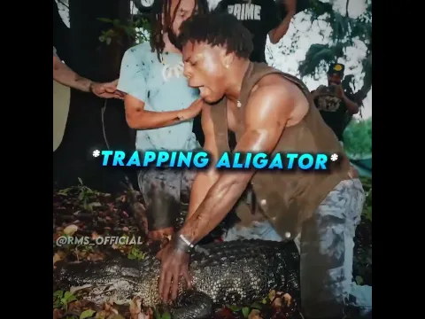 Speed Has Zero Survival Instinct 💀