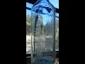 Scott s Emulsion Cod Liver Oil Antique Bottle Stories