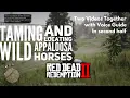 Red Dead Redemption 2 Locating and Taming Wild Appaloosa Horse