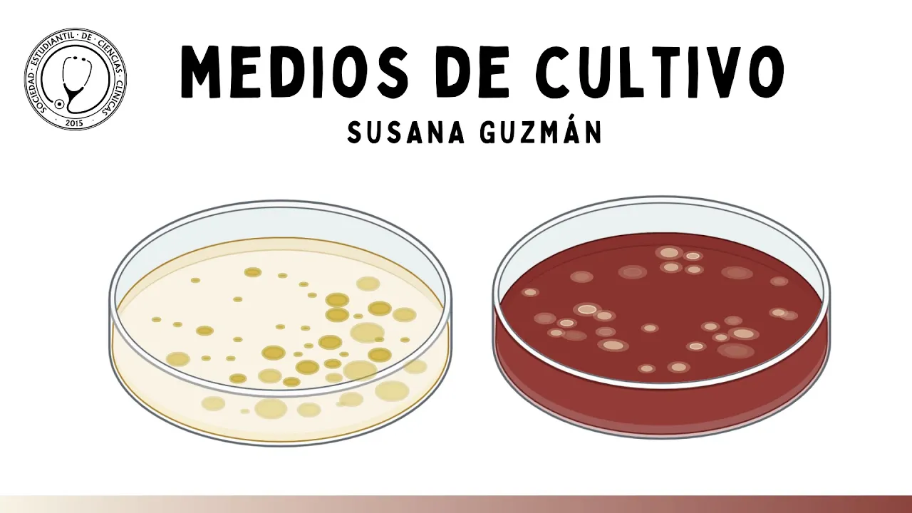 MEDIOS DE CULTIVO DE BACTERIAS | Microbiología