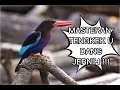 Download Lagu MASTERAN TENGKEK UDANG | JERNIH KASAR