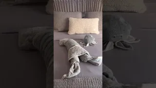 Setting up the guest cabin on our sailboat for visitors! 🦞🐙 #boatlife #sailingcatamaran