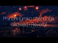 Download Lagu phir bhi tumko chahunga (slowed+reverb) | arjitsingh | sloverblyrics