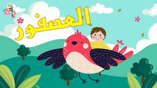 العصفور قناة آية للأناشيد 