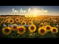 You Are My Sunshine LYRICS || No Copyright Music || Vocals