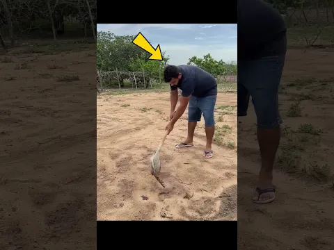 🌱😱 தோட்டத்துக்கு தானாகத் தண்ணீர் பாய்ச்சிய புத்திசாலி பையன்!#gardening #smartideas #shorts