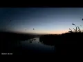 Ducks Decoying To Deadly Decoys Flyers