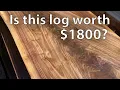 Sawing up a Black Walnut log