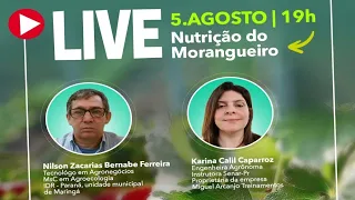Nutrição no Morangueiro