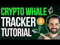 Code a Crypto Whale Tracker Step-by-Step with Ethers js