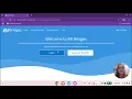 MI BRIDGES Brief Tutorial TEL-313-W1