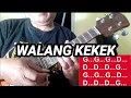 Lagu WALANG KEKEK - CAK KERONCONG (CHORD)
