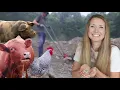Download Lagu We Couldn’t Get Food for our Farm Animals🐷🐓 So We’re Doing This Instead…