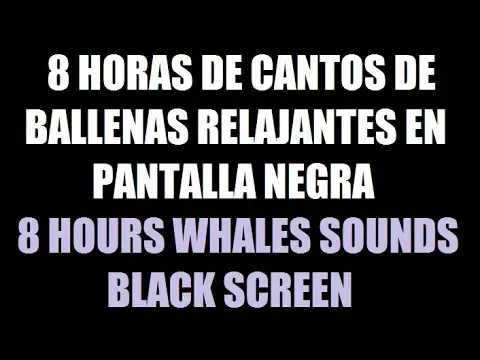 Download MP3 8 horas canto de ballenas música para dormir relajante pantalla negra / 8 whales sounds black screen