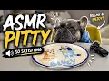 Dog ASMR