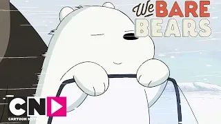 we bare bears the bear bros origin story ice bear cartoon network africa