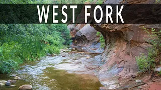 Backpacking West Fork - Oak Creek Canyon Sedona Arizona 2019