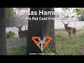 Public Land Bow Hunting KANSAS GIANTS Late Oct Cold Front