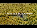 Download Lagu Dream Academy - Please, Please, Please Let Me Get What I Want (The Smiths) | Lyrics | Sub. Español