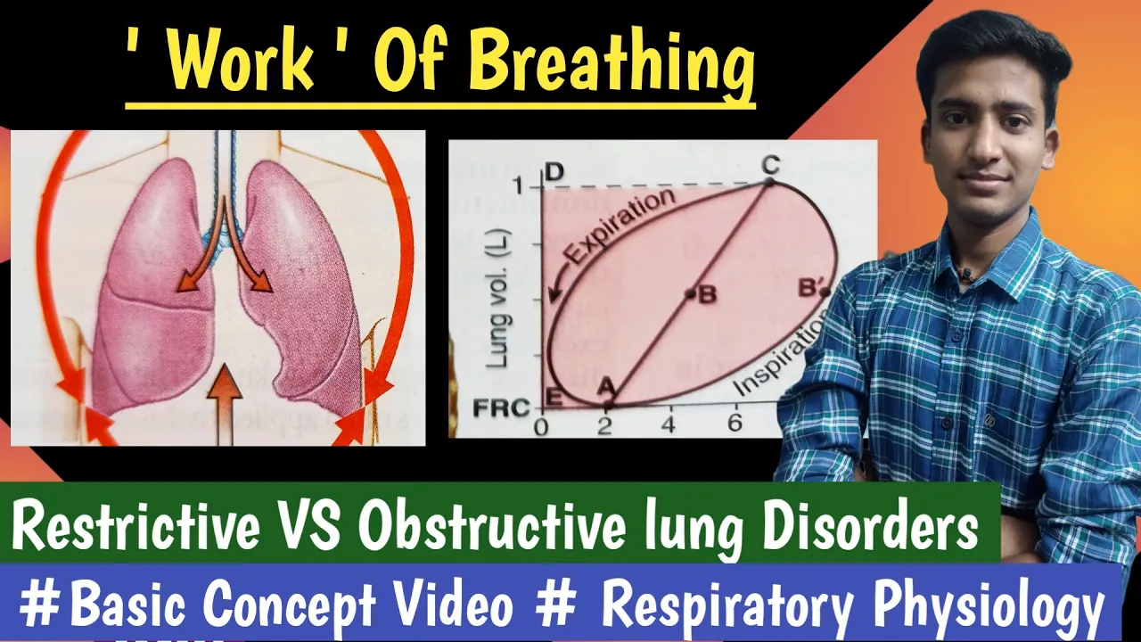 Work of Breathing || Restrictive VS Obstructive lung disorder|| Respiratory Physio|| hindi|| Ashish