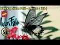 Download Lagu IWAN FALS - KUPU KUPU HITAM PUTIH ( lirik )