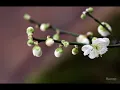 Spring Maiden : Eric Tingstad and Nancy Rumbel.