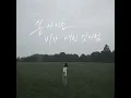 Raindrops - 리