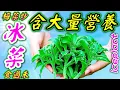 Download Lagu 冰菜🪴原來咁高營養👍 在香港街市不算常見👋多在外國或內地入口🔺屬高水份蔬菜💧除有蔬菜一般含有的礦物質👈也有鈉質👈鉀質及胡蘿蔔素等👈抗氧化物質👈提高製造蛋白質的最基本組織👍 特別適合素食者食用🙏