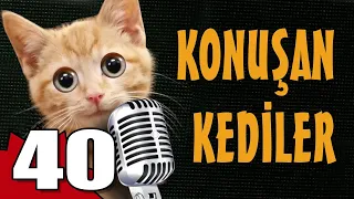 Konuşan Kediler 40 - En Komik Kedi Videoları