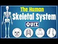 The Human Skeletal System Quiz Explore the Human Skeleton Identify Bones and Their Functions