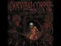 Scourge of Iron - Cannibal Corpse