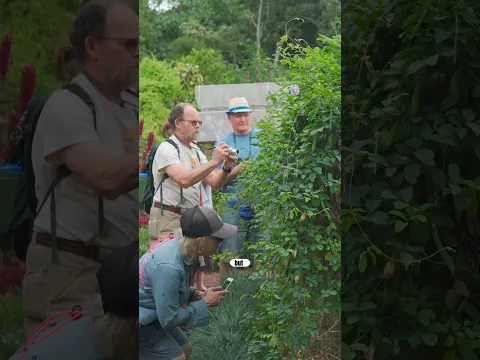 Inside a 20-Acre Costa Rican Botanical Garden Overflowing with Plants
