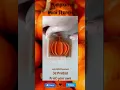 Pumpkin Mini Stencil